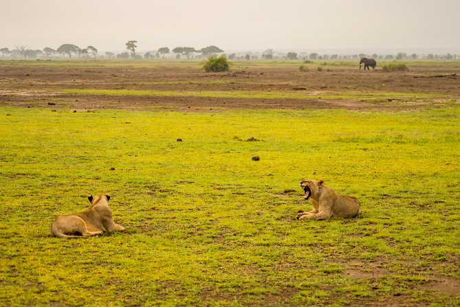 Mombasa 2 Days Safari- Tsavo & Amboseli - Meeting and Pickup Details