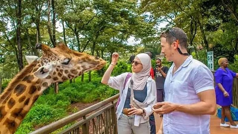 Mombasa City & Nguuni Nature Half-Day Tour - Transport could shape the whole outing