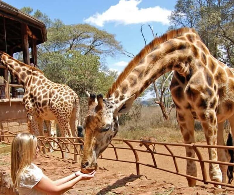 Mombasa City & Nguuni Nature Half-Day Tour - Booking and cancellation notes