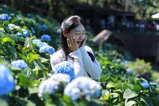 Mon Jam, Elefin Café, and Cypress Lane Chiang Mai - Good To Know