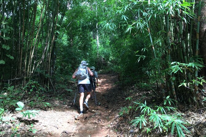 Mon Long Peak Climb and Downhill Bike Ride in Small Group - Pricing and Discounts