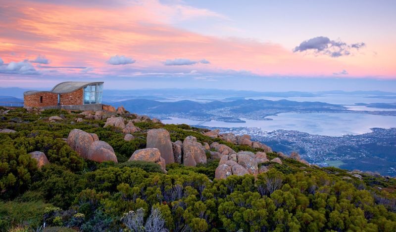 MONA Boat Cruise and Mt Wellington Morning Tour - At a glance