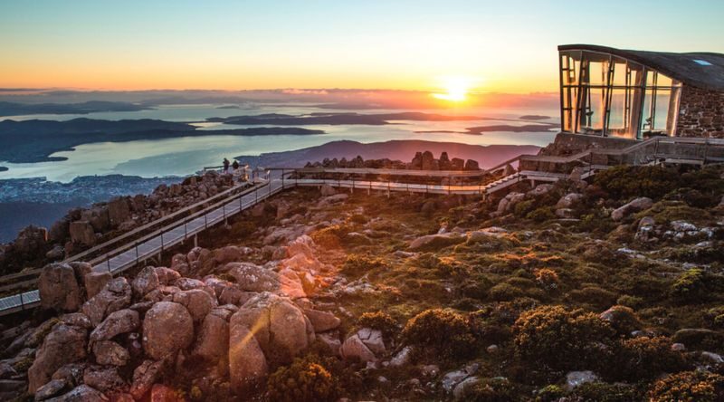 MONA Boat Cruise and Mt Wellington Morning Tour - How to make the most of MONA