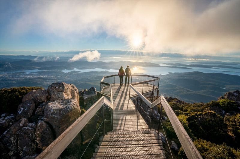 MONA Boat Cruise and Mt Wellington Morning Tour - Who should choose this tour?