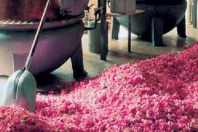 Monaco and Perched Medieval Villages - Private & Guided Tour - The Sum Up