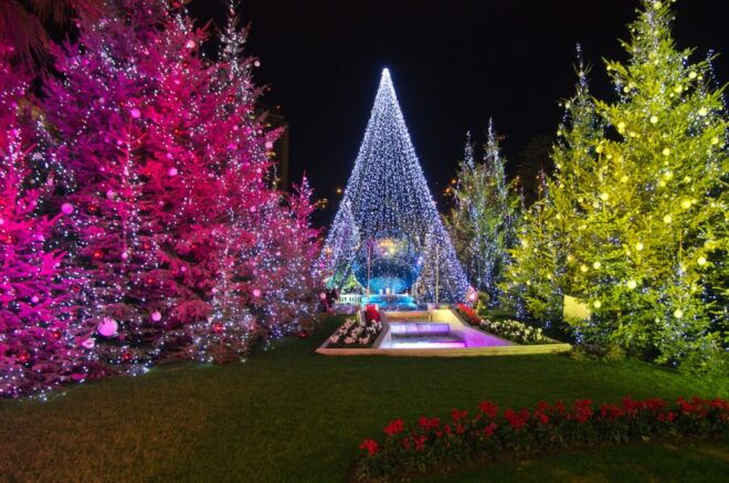 Monaco: Christmas Fairy Tale Private Walking Tour - Tour Guide Information