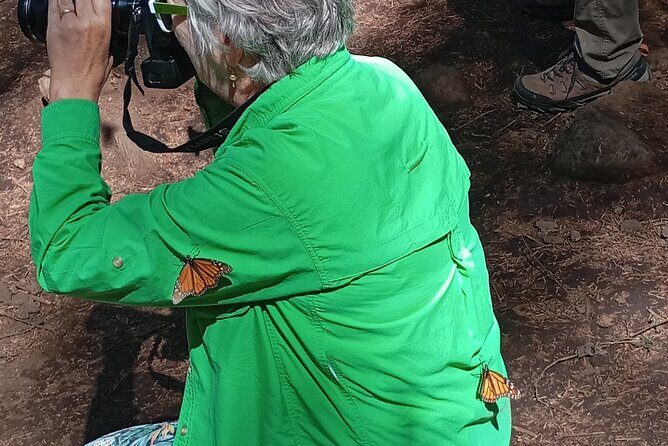 Monarch Butterflies El Rosario Preserve from Mexico City - The Experience: What to Expect on the Tour