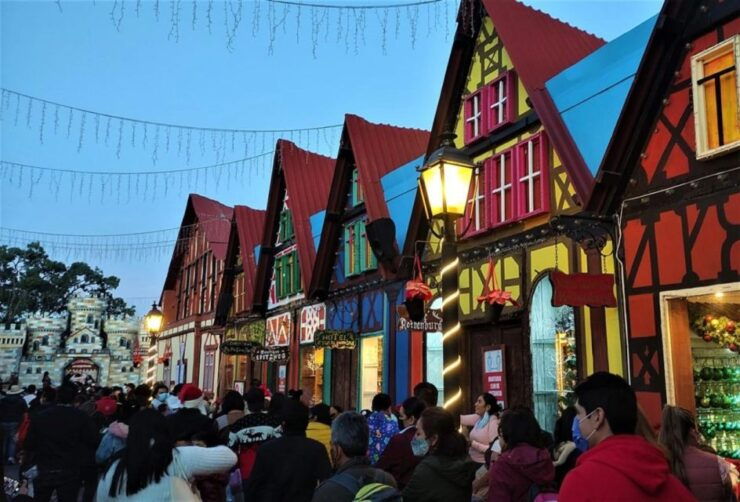 Monarch Butterfly: Biosphere Reserve and Xmas Town Town - Monarch Butterfly Migration Overview