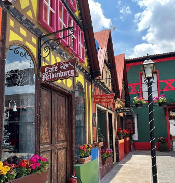 Monarch Butterfly: Biosphere Reserve and Xmas Town Town - Sierra Chincua Butterfly Sanctuary Visit