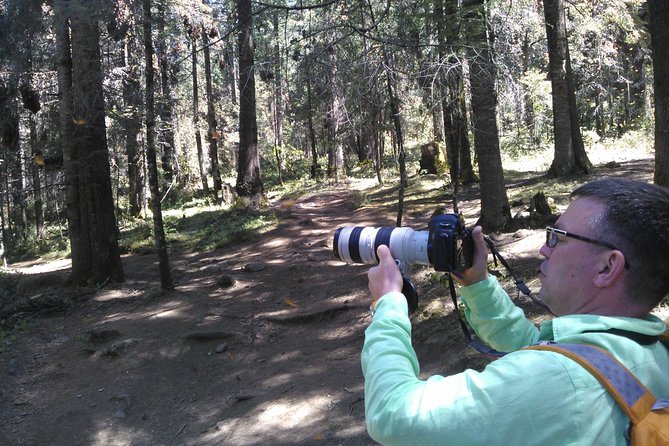 Monarch Butterfly Group Tour. Join Me to Watch #Butterflies - Traveler Photos