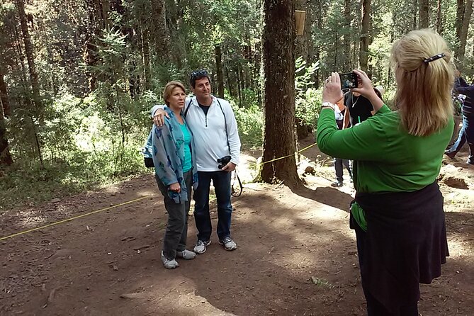 Monarch Butterfly Private Tour (Morelia) - Directions