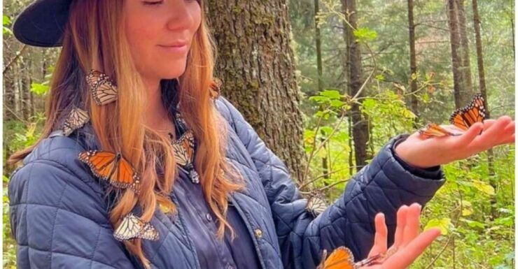 Monarch Butterfly Sanctuary - Sanctuary Overview