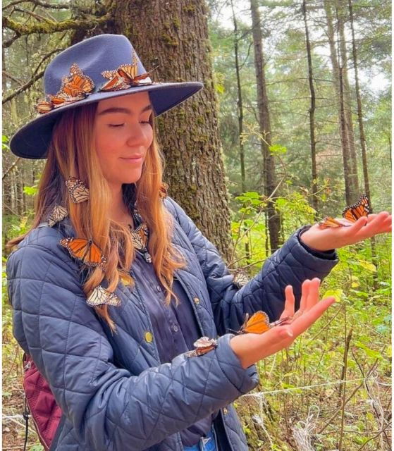 Monarch Butterfly Sanctuary - Experience Highlights