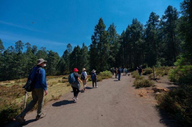 Monarch Butterfly Tour in Michoacan - Important Information