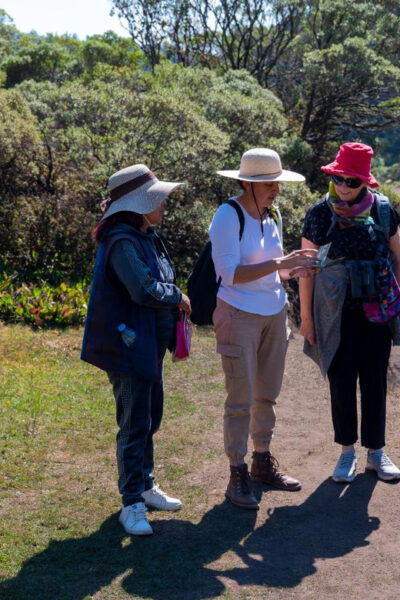 Monarch Butterfly Tour in Michoacan - Cancellation and Refund Policy