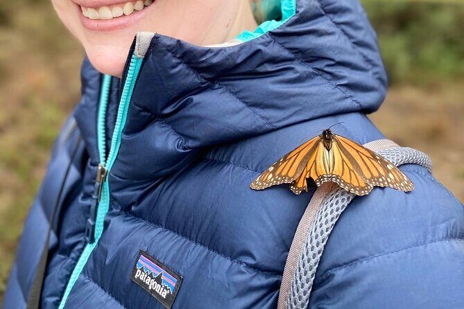 Monarch Butterfly Tour Mexico: Sierra Chuincua and Magic Town - Good To Know