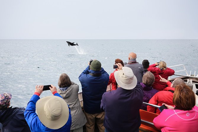 Monarch Wildlife Cruise - Inclusions and Amenities