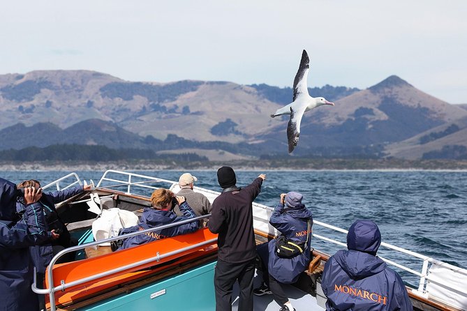 Monarch Wildlife Cruise - Traveler Photos and Reviews