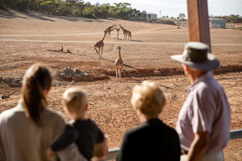 Monarto Safari Park: General Admission Tickets - Good To Know