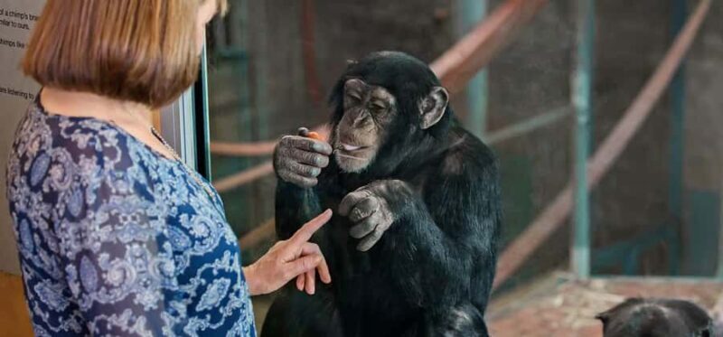 Monarto Safari Park: Keeper for a Day - Good To Know