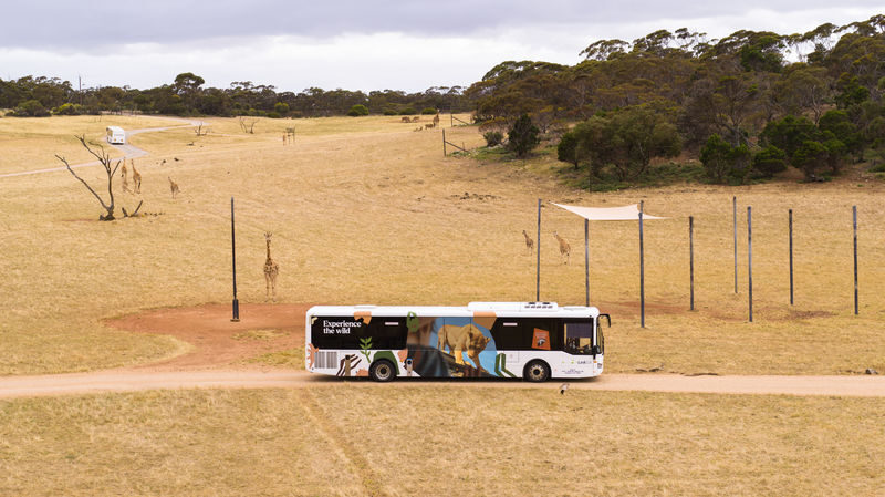 Monarto Safari Park Ticket - Monarto Safari Park at a glance