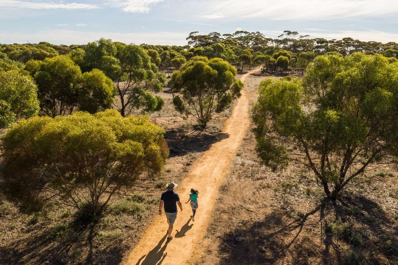 Monarto Safari Park Ticket - An open-range park, not a quick zoo loop