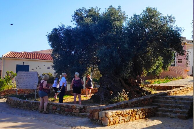 Monastery - Ancient Olive Tree & Museum-Cretan Brewery Private Tour From Chania - Private Tour Highlights