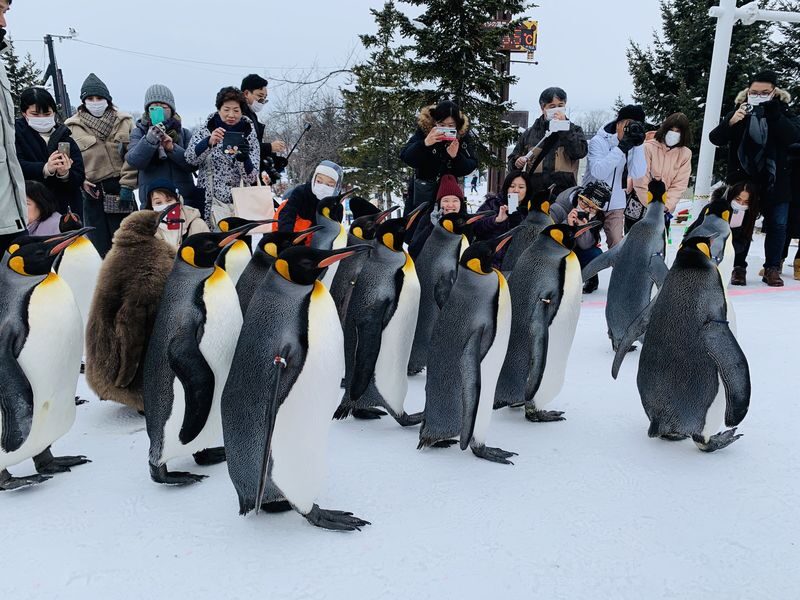 Monbetsu Icebreaker & Asahiyama Zoo & Sounkyo Ice Waterfall Festival 2-Day 1-Night Tour (Departure from Sapporo, Guaranteed Departure) - Okhotsk Tower and the Garinko icebreaker