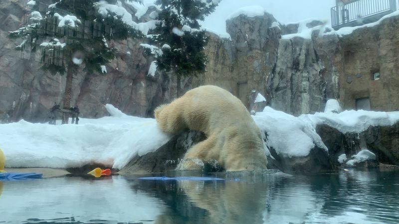 Monbetsu Icebreaker & Asahiyama Zoo & Sounkyo Ice Waterfall Festival 2-Day 1-Night Tour (Departure from Sapporo, Guaranteed Departure) - Food, guiding and the pace of the trip