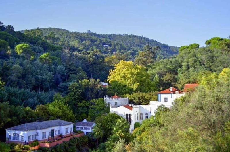 Monchique: Highlights Tour - The Journey Begins: What to Expect from the Monchique Highlights Tour