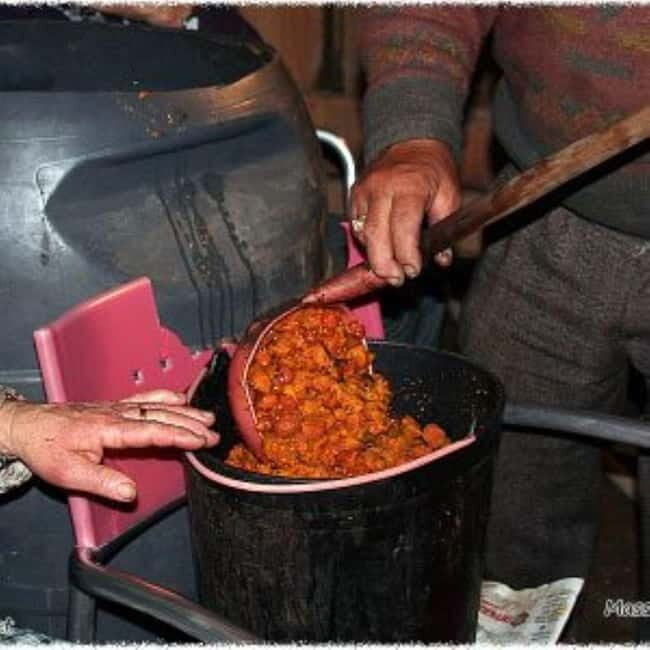 Monchique: Highlights Tour - Discovering Foia: the Highest Point in the Algarve