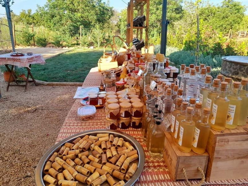 Monchique: Highlights Tour - Final Thoughts