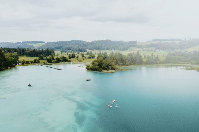 Mondsee: Stand-Up Paddle Board Rental and Instruction - Customer Feedback
