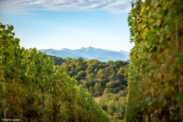 Monein - Suspicion in Jurançon - Frequently Asked Questions