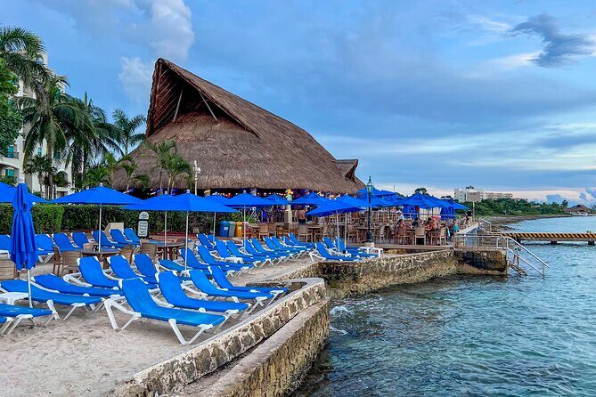 Money Bar All Inclusive Experience with Transportation - Food, Drinks, and Rest Amenities