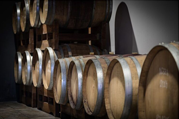 Monferrato: Barbera Wine Tasting Experience - Activity Details