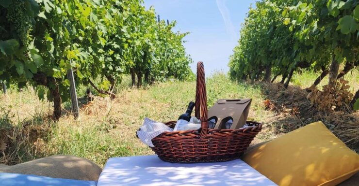 Monferrato: Garetto Wine Estate Tour and Picnic - Experience Highlights