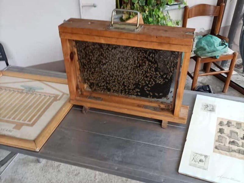 Monferrato: Honey and Mead Tasting Experience - Final Thoughts