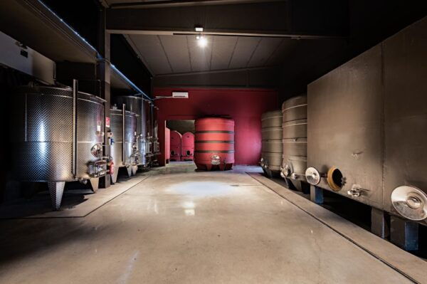 Monferrato: Wine Tour & Picnic in the Vineyards - Frequently Asked Questions