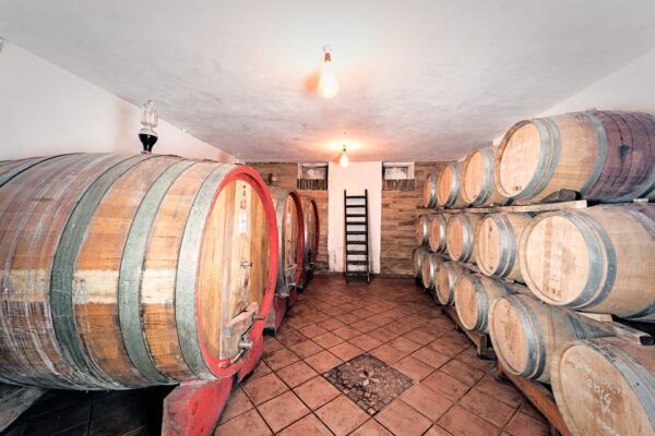 Monferrato: Wine Tour & Picnic in the Vineyards - The Sum Up