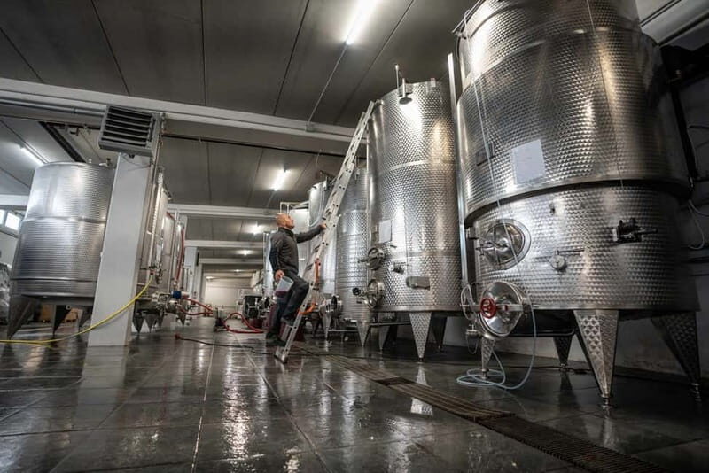 Monforte d'Alba: 7 glasses of Langhe with visit to Winery and Vineyards - Good To Know