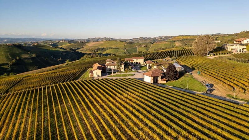 Monforte d'Alba: 7 glasses of Langhe with visit to Winery and Vineyards - The Practicalities: What You Need to Know