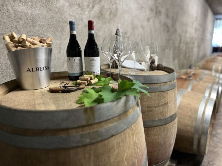 Monforte D'alba: Winery Tour, Wine Tasting and Panorama - Winery Experience
