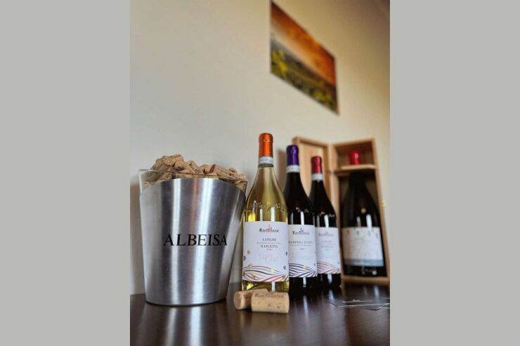Monforte D'alba: Winery Tour With Aperitif &Tasting - Booking and Logistics Information