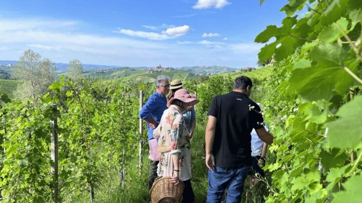 Monforte D'alba: Winery Tour With Aperitif &Tasting - Experience and Expertise Highlights