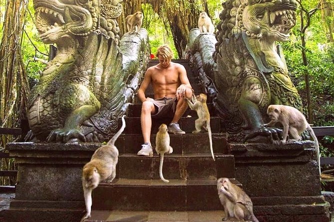 Mongkey Forest , Waterfall and Rice Terraces - Overview of Mongkey Forest