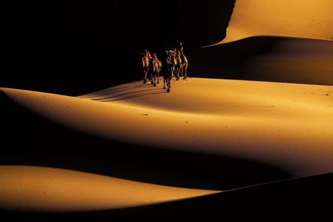 Mongolia: 11-Day Tour With Gobi Desert and Naadam Festival - Transportation Information
