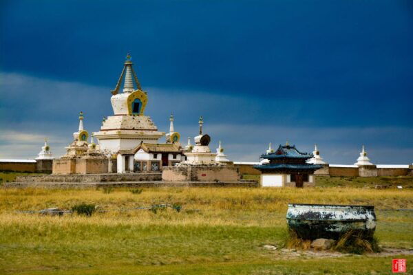 Mongolia: 11-Day Tour With Gobi Desert and Naadam Festival - Exclusions and Additional Costs