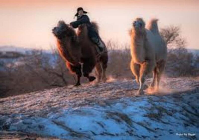 Mongolia: 5-Day Nomadic Winter Adventure & Ice Fishing - Summary of the Experience’s Value