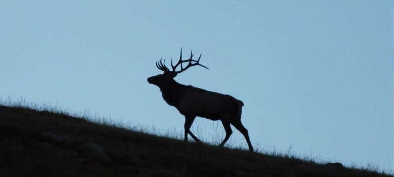 Mongolia: Hustai National Park - Practical Tips for the Trip